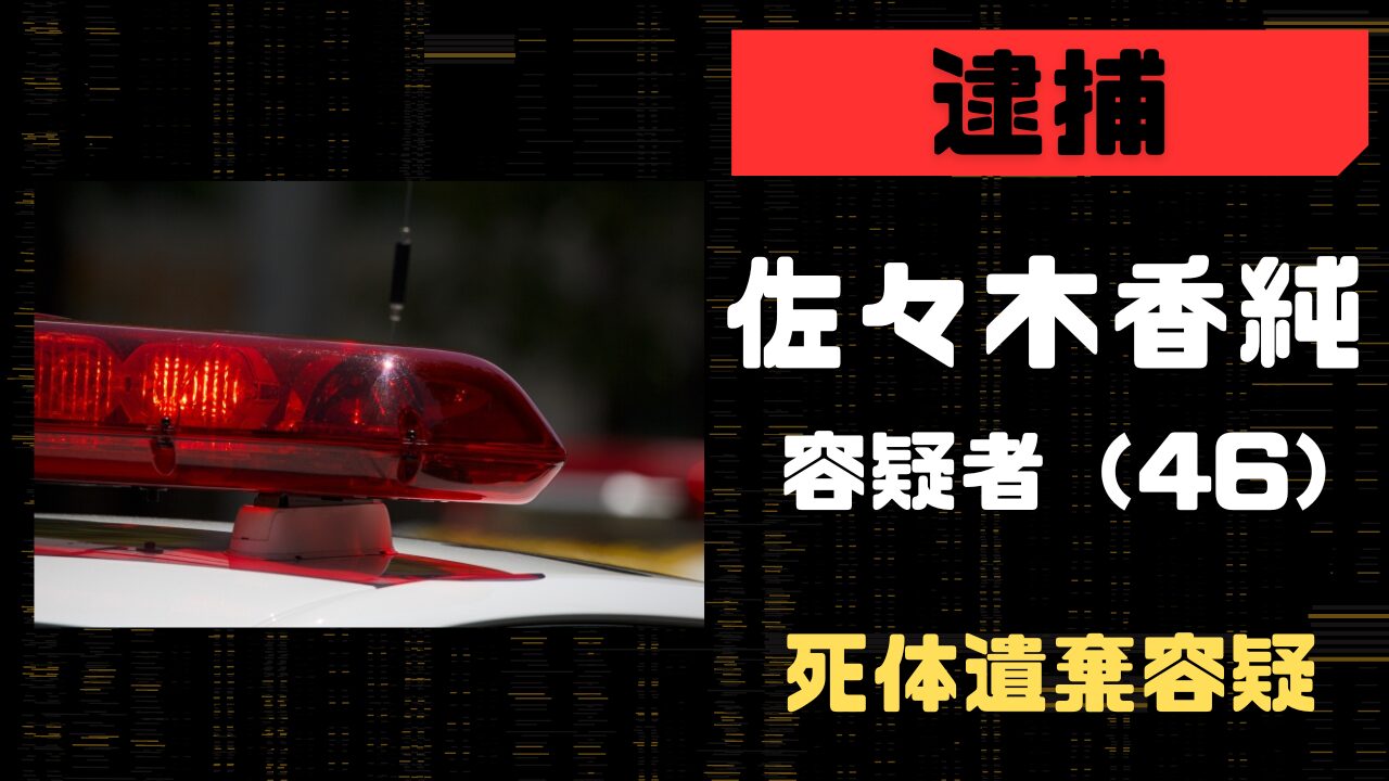 佐々木香純
