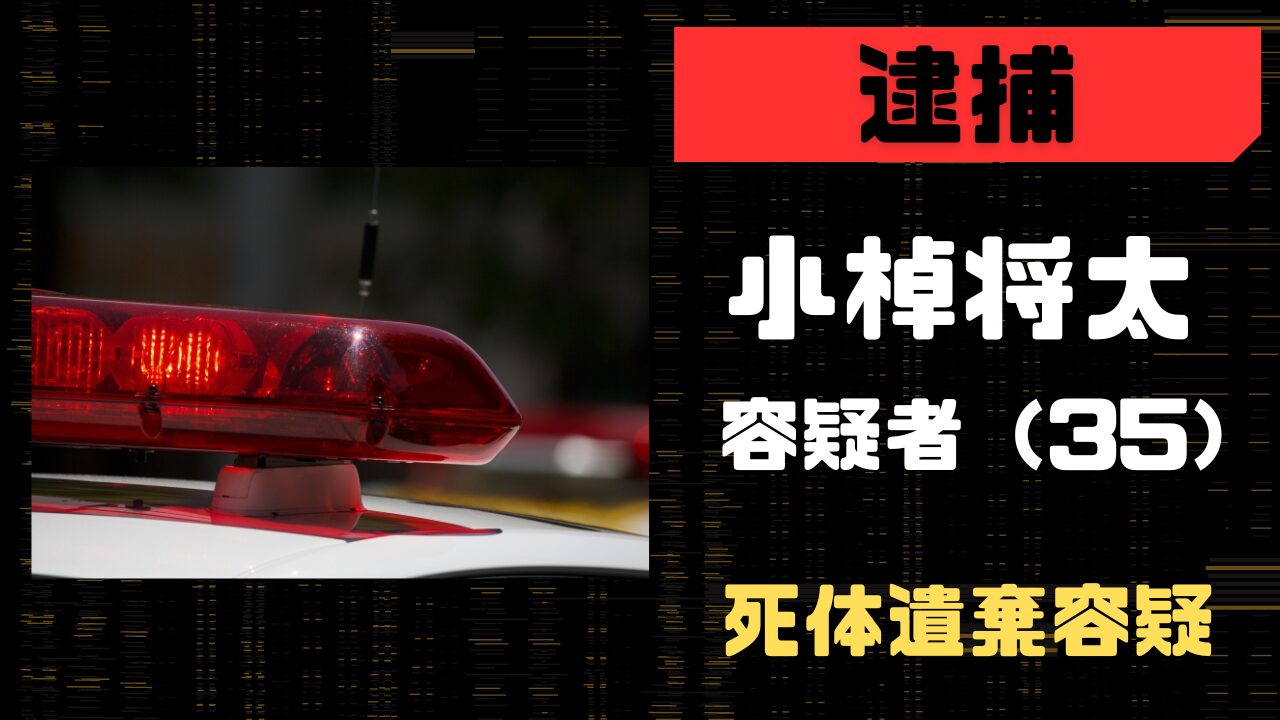 小棹将太